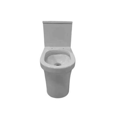 China Double-Flow Porcelain Bathroom Toilet One Piece Ceramic Wall Mounted Toilet China White Europe Style Packing 2977 for sale