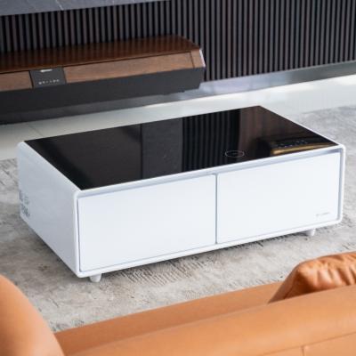 China Smart LED Light Coffee Table for Mini Refrigerator and Freezer in Luxury Home Furniture for sale