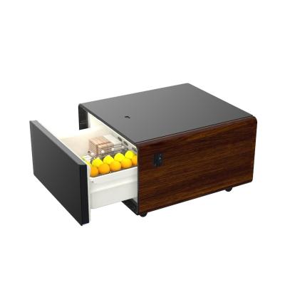 China 2024 Table A Must-Have for Modern Homes Multifunctional Refrigerator and Coffee Table for sale