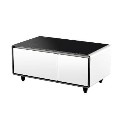 China Small Apartment Furniture Coffee Table with 2 Refrigerator Drawers and Music Player USB for sale