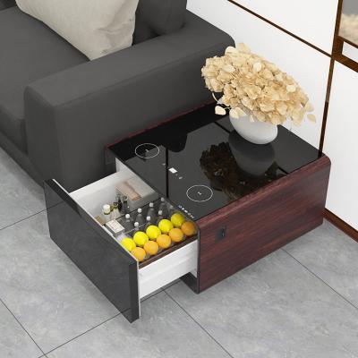 Китай Воздушно-охлаждающий холодильник тип Primst Smart Coffee Table холодильник для удобного проживания продается