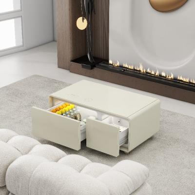 China Modern Nordic Dining and Living Room Furniture Smart Coffee Table with Refrigerator for sale