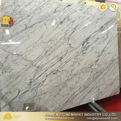 China Own Build Factory Italy Carrara White Marble For Flooring Tile And Wall Countertop for sale