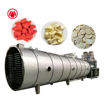 China New Latest High Efficiency Low Cost Freeze Machine Vegetable Drier Dryer for sale