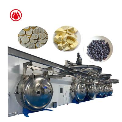 China Maintain Color And Fragrance Industrial Freeze Dryer Vacuum Freeze Dryer Price for sale