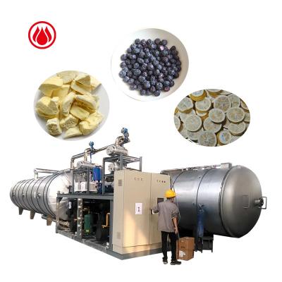 China Maintain Color And Fragrance Industrial Durian Freeze Dryer Freeze Dryer Food for sale