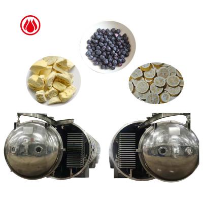 China Maintain Color And Fragrance Large Capacity Fruit Dehydration Equipment Industrial Food Freeze Dryer for sale