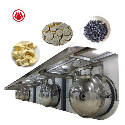 China Maintain Color And Fragrance Healthy Food Dehydration Vegetable Vacuum Freeze Dryer Machine for sale