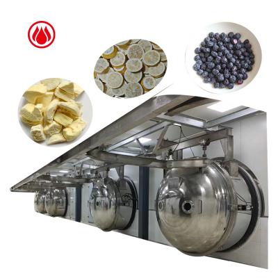 China Maintain Color And Fragrance Vegetable Food Vacuum Freeze Dryers Machine Sale for sale