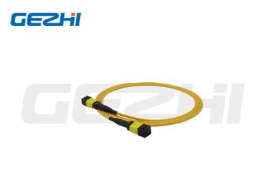 Cina Cable patch MTP/MPO OS2 a 96 core per prodotti in fibra ottica CATV/Telecom/FTTX in vendita