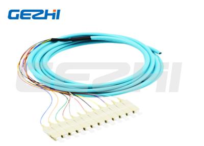 China 12 Cores Fiber Optic Pigtail SC PC Multimode OM3 Distribution Optical Pigtails 0.9mm for Data Transmission à venda