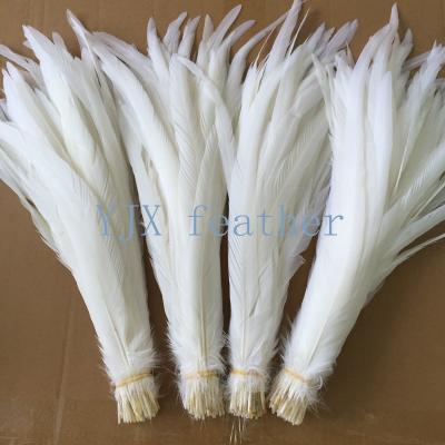 China Cheap Chicken Feather 40-45cm Snow Rooster White Grayish Tail Feathers For Carnival Costumes for sale