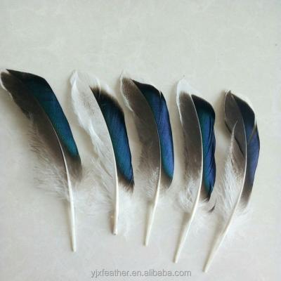 China Decorations China supplier artificial plumas duck goose feather for sale