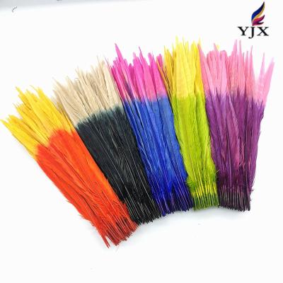 China Wholesale Decorations Pheasant Feathers Double Color Pheasant Tail Feathers 12-14 inch (30-35cm) for sale