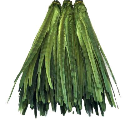 China Decorations Clean Inventory Army Green Pheasant Feathers18-20 Inch (45-50cm) Dyed Pheasant Tail Feathers for sale