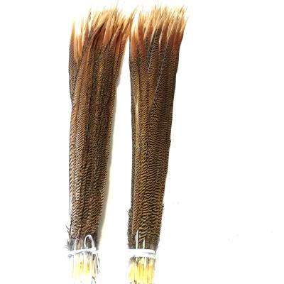 China Performance Stage Decoration Props Custome Wholesale Natural Pheasant Beautiful Feathers 30inch Pheasant Feathers Gold for sale