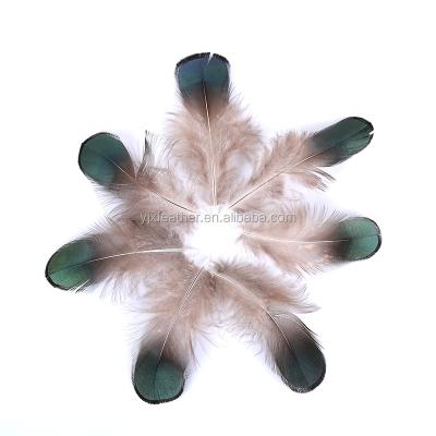 China DIY accessories for hats and bags DIY feather pheasant plumas green color natural coper pheasant feather for sale