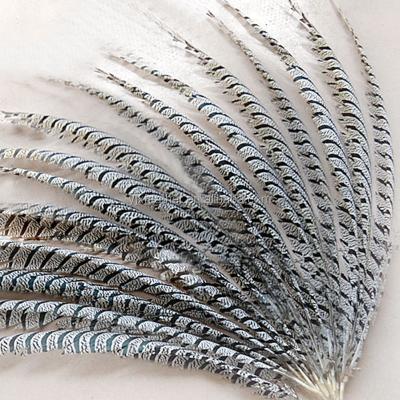 China Factory Wholesale Performance Stage Decoration Props Custome Quality Dyed Decorative Pheasant Zebra For Carnival for sale