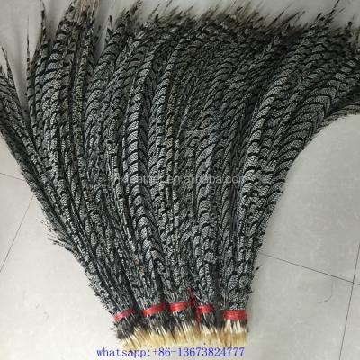 China Decorations Long Wholesale 80-90cm Zebra Lady Amherst Pheasant Tail Feathers for sale