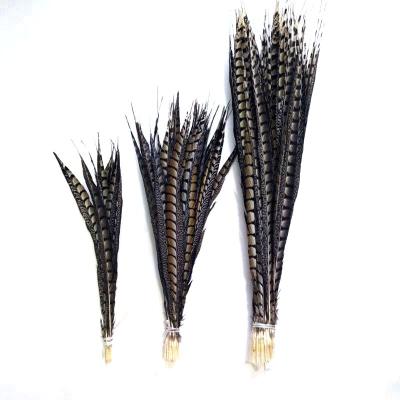 China Wholesale Hot Selling Natural Lady Amherst Pheasant Tail Feathers Decorations 55-60cm for sale