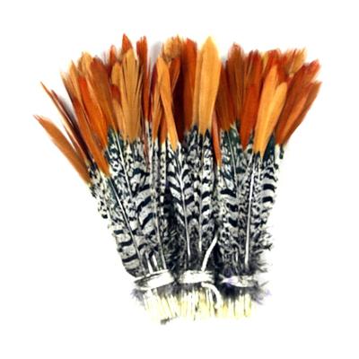 China Party Wedding Performance Decoration Wholesale 25-30cm Lady Amherst Red Tip Feather for sale