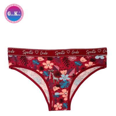 China Wholesale Antibacterial Women's Underwear, There are many beautiful style of mature women's underwear for sale