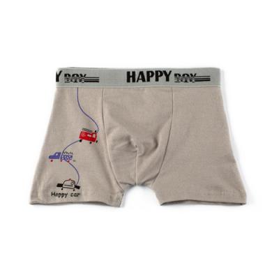 China 2021 Factory Wholesale Boys Cotton Panties Kids Elastic Band Underwear Boxer Breathable Briefs For Boys for sale