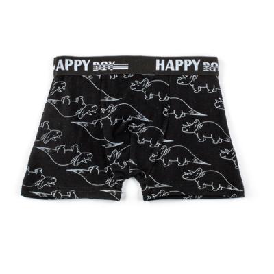 China Factory Wholesale Pure Breathable Little Boys Cotton Underwear Kids Dinosaur Print Kids Boy Boxer Briefs for sale