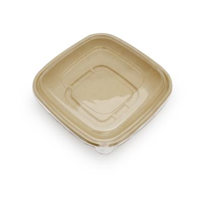 China Disposable Disposable Bagasse Pulp Sugar Cane Container Food Packaging Boxes for sale