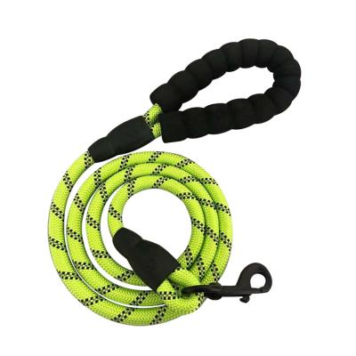 China Personalized Reflective Soft Comfortable Padded Handle Rope Dog Slip Leash For Walking for sale