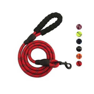 China Thoughtful Strong Sturdy Dog Rope Personalized Braided Slip Leash Slip Resistant Lead With Traffic Padded 2 Handles for sale