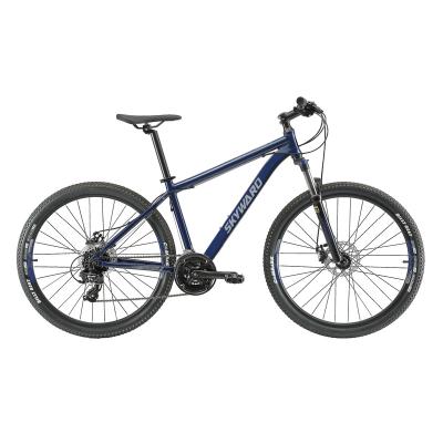 China Aluminum Alloy 29 Inch Suspension Include Locking Device Alloy Handlebar Down Hill Bicycle Mountain Bike for sale