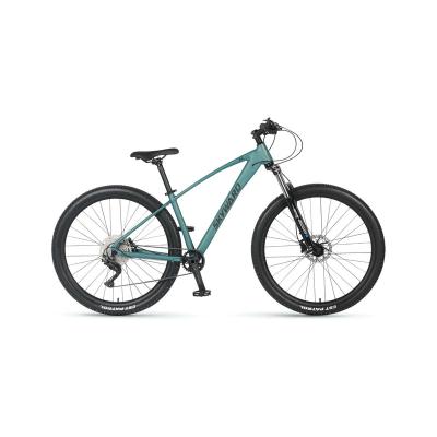 China High Quality Aluminum Alloy Skyward 10 Speed ​​27.5 Inch Alloy Frame Mountain Bike For Sports for sale