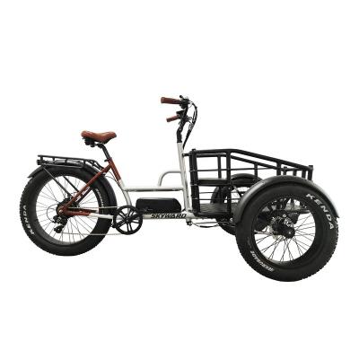 China Wholesale Aluminum Alloy 3 Wheel Cargo Bike Family 350w 36v 7 Speed ​​Disc Brake Electric Tricycle for sale