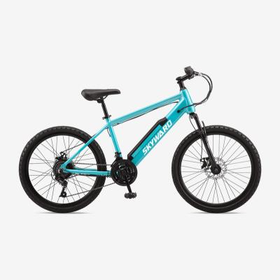 China Aluminum Alloy New Arrive Electric Mountain Bike 26 Inch 250w 36v Alloy Frame MTB Disc Brake Suspension 7 Fork 7 Speed for sale