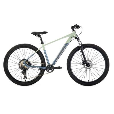 China Wholesale high quality standard aluminum alloy 29 inch mountain bicycles for men and women love cycling for sale