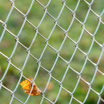 China Fence Mesh Low Price Anti-Rust 50X50mm Galvanized Chain Link Fence for sale