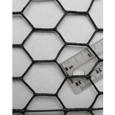 China Factory Price Rustproof Hot Dip Galvanized 12Mm*12Mm PVC Coated Hexagonal Wire Mesh for sale