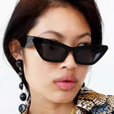 China New Arrival Fashion Cat Eye DL Cat Eye DL Glass Retro Colorful Drop Shipping Fashion Low Price Customizable Sunglasses for sale