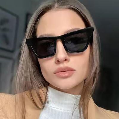 China Cat Eye DL Glass New Arrival Hip Hop Cat Eye Sunglasses Candy Color Oversized Drop Shipping gafas de sol Customizable 2022 for sale