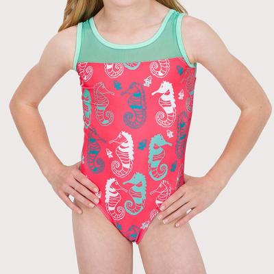 China Antibacterial Wholesale Sublimation Printed Teen Girls Mesh Spandex Gymnastics Leotards for sale