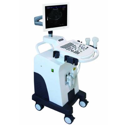 China Small Parts MSK Urology Abdomen GYN OB Hot Sale Ultrasound Machine Cardiac Vascular Ultrasound Medical Scanner Medical Ultrasound Machine China for sale