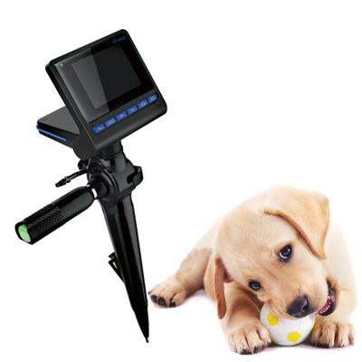 China Metal Veterinary Borescope HD Veterinary Borescope For Small Animal Veterinary Endoscope Camera for sale