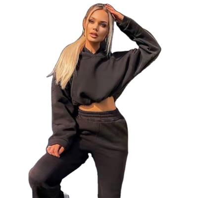 China Wholesale Anti Shrink Long Sleeve Hoodie Set Womens Tops Pullover Cropped Hoodies Autumn Winter Female Hoodies Set for sale