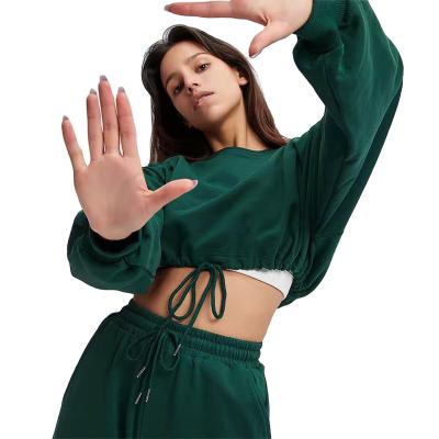 China Wholesale Anti Shrink Long Sleeve Custom Embroidered Crop Hoodie Top Woman Cropped Sweatshirt Crop Hoodies For Women for sale