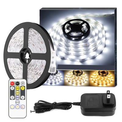 China Indoor decoration OEM ODM 60leds landscape lighting led backlight strip Tv Backlight led cob lights dream color led strip for sale