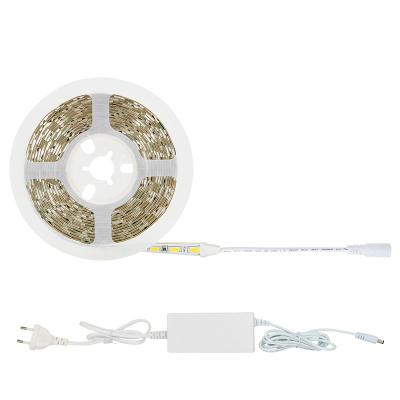 China Home decoration China manufacturer IP20 non waterproof led strip light 5m 5730 Led Flexible Strip Light for wall light for sale