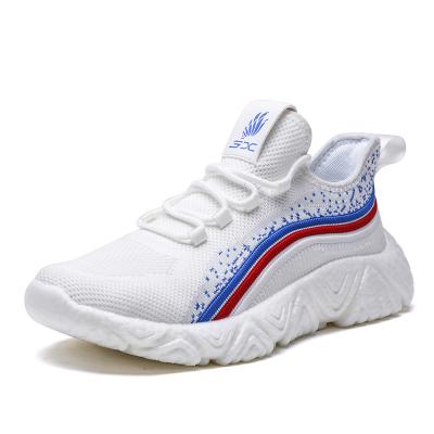 China CUSHIONING New Pattern Spring Shoes Wholesale Gym Sneakers Durable Men Shoes Casual for sale