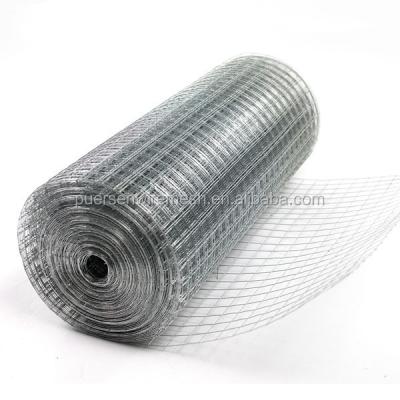 China Corrosion Resistance POOL SAFE GALVANIZED AVIARY WIRE WELD MESH for sale