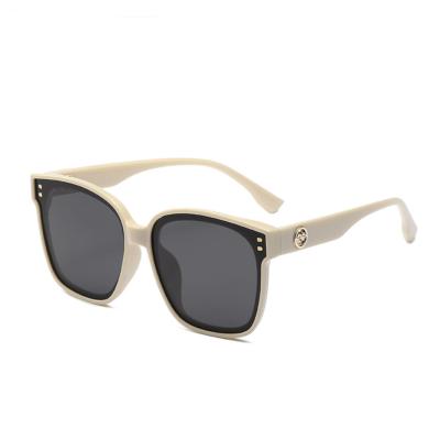 China Fashion Big Frame Polarized Sunglasses for sale